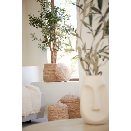Mand S3 met deksel max 36x42 cm MANGALA perzik (2 pieces) Mand S3 met deksel max 36x42 cm MANGALA perzik (2 pieces)