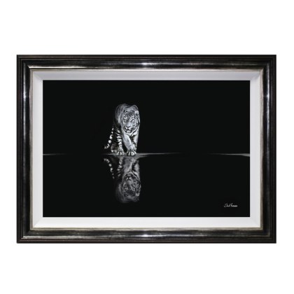 Tiger - Pencil Drawing