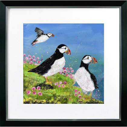 At The Coast I [Puffins]