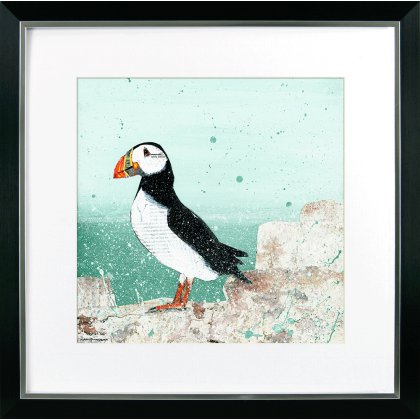 At The Coast VII [Puffin]