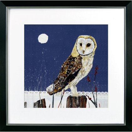 Nocturnal VI [Barn Owl]