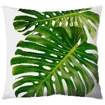 Nature Cushion