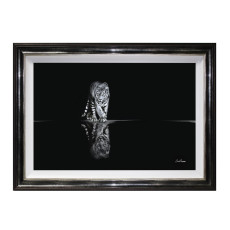 Tiger - Pencil Drawing