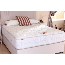 Willow 1000 Willow 1000