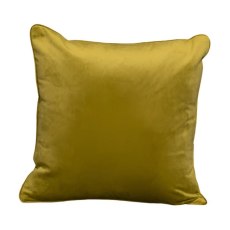 Velvet Cushion Velvet Cushion