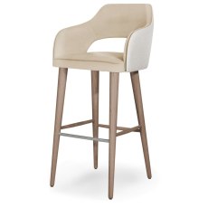 Zane Counter Stool