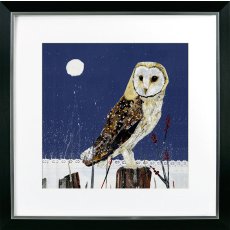 Nocturnal VI [Barn Owl]