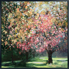 Blush Copse Blush Copse