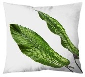 Nature Cushion Nature Cushion