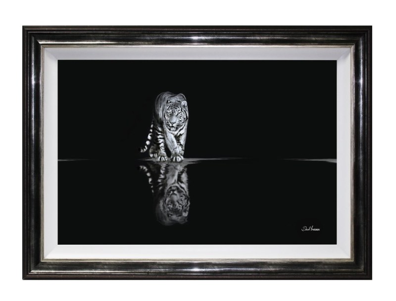 Tiger - Pencil Drawing Tiger - Pencil Drawing