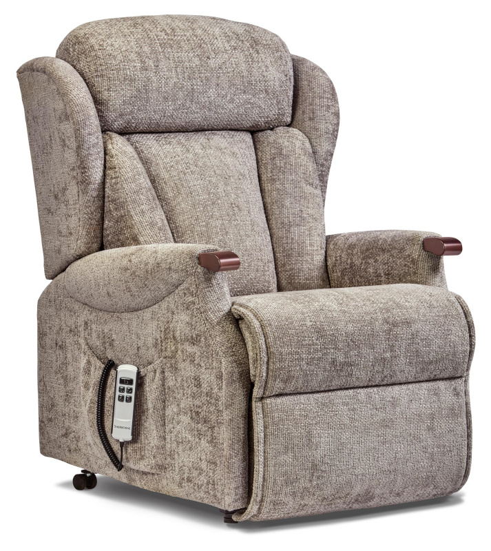 Albert Knuckle Petite 2-motor Electric Riser Recliner Albert Knuckle Petite 2-motor Electric Riser Recliner