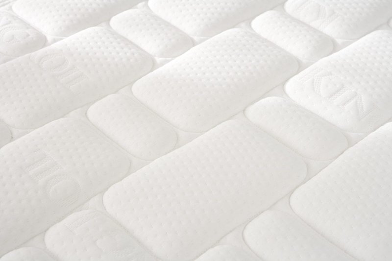 Posture Guard ICA Posture Guard ICA