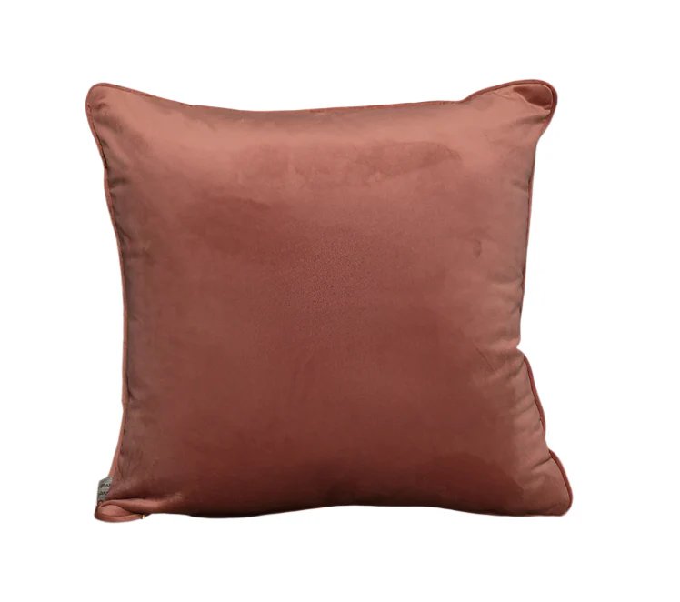 Velvet Cushion Velvet Cushion