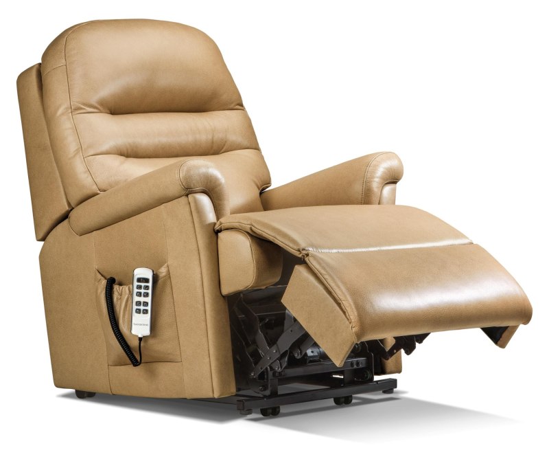 Stanley Petite 2-Motor Electric Riser Recliner Stanley Petite 2-Motor Electric Riser Recliner
