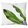 Nature Cushion Nature Cushion