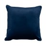 Velvet Cushion Velvet Cushion
