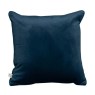 Velvet Cushion Velvet Cushion