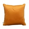 Velvet Cushion Velvet Cushion