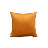 Velvet Cushion Velvet Cushion