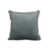 Velvet Cushion Velvet Cushion