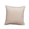 Velvet Cushion Velvet Cushion