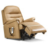 Stanley Standard 2-Motor Electric Riser Recliner Stanley Standard 2-Motor Electric Riser Recliner
