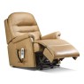 Stanley Standard 2-Motor Electric Riser Recliner Stanley Standard 2-Motor Electric Riser Recliner